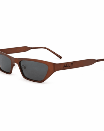 Brown stainless steel sunglasses for men